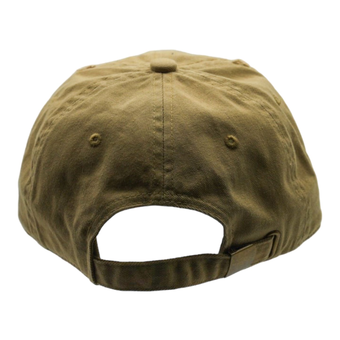 Drippin Money Bear Distressed Vintage Dad Hat