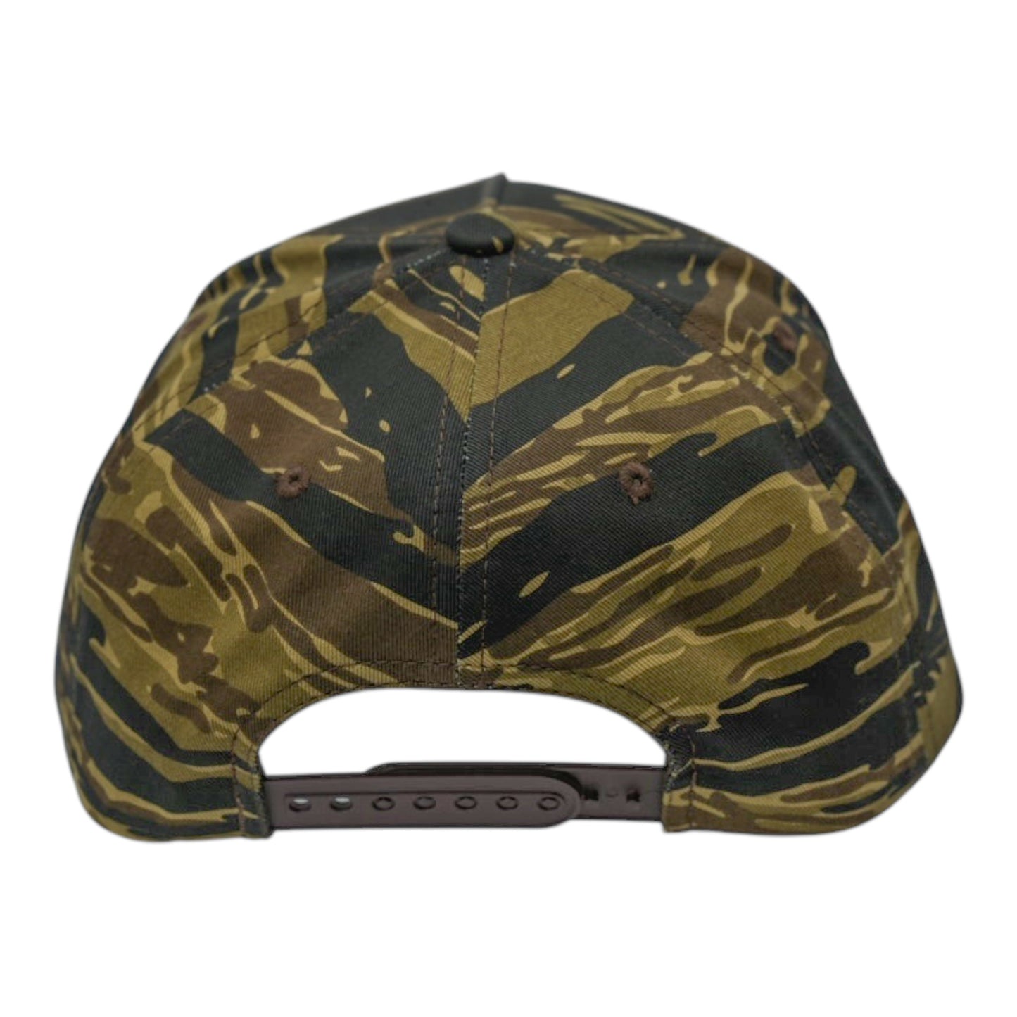 Trust the Process Snapback