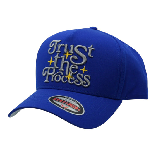 Trust the Process Snapback